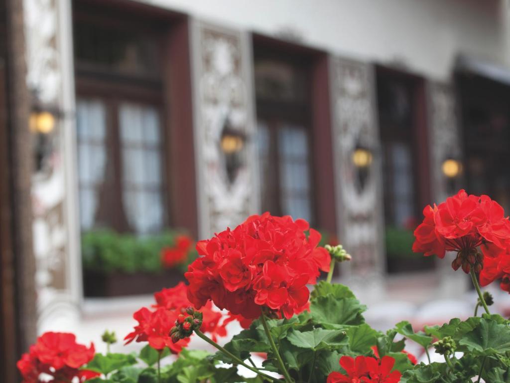 Hotel Felsenkeller Рюдесхайм-на-Рейне Экстерьер фото